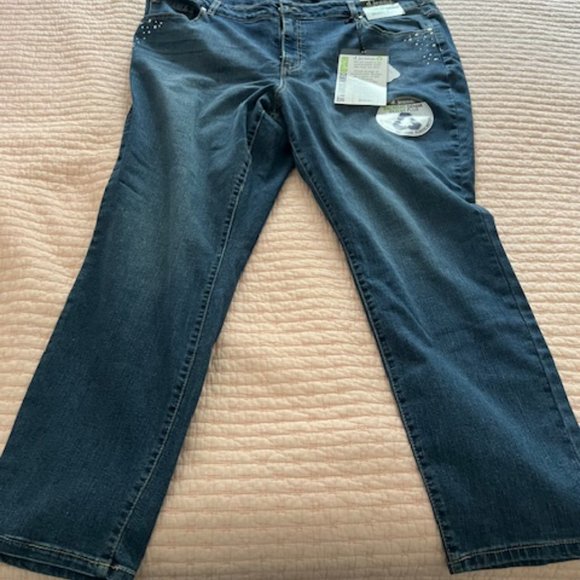 NWT d jeans skinny plus embellished pockets size 22w - Picture 4 of 4